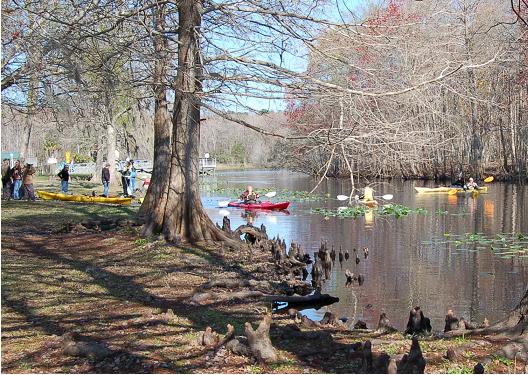 kayaking image